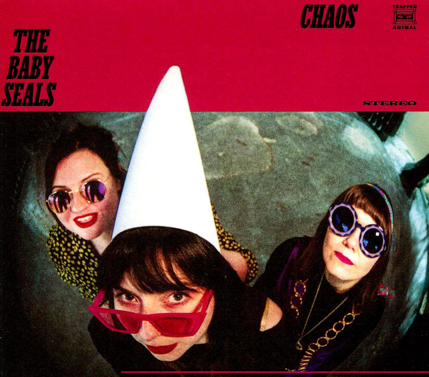 Chaos (Baby Seals)