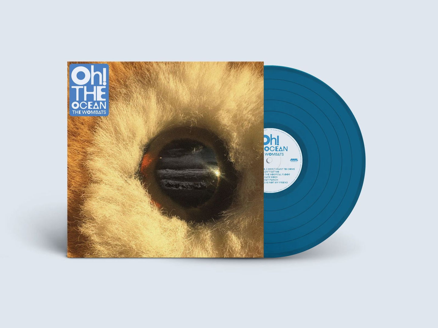 Oh The Ocean (Wombats)