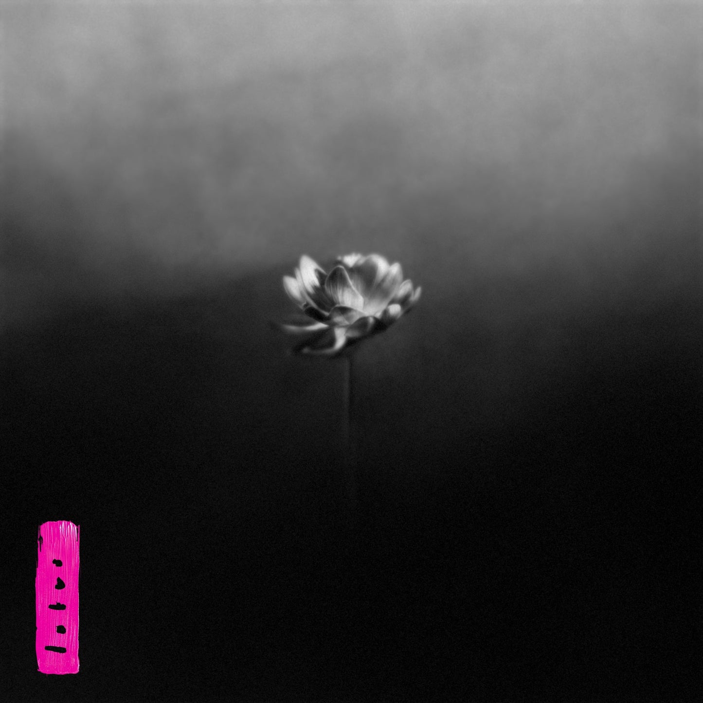 Lotus (Little Simz)