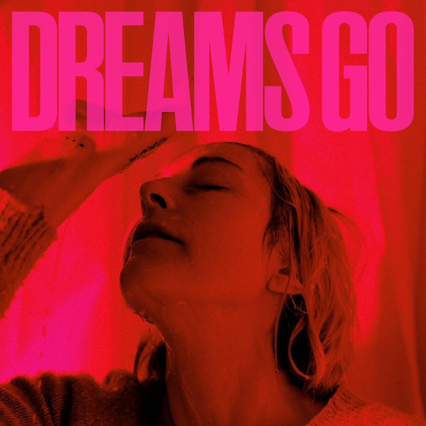 Dreams Go (Polica)
