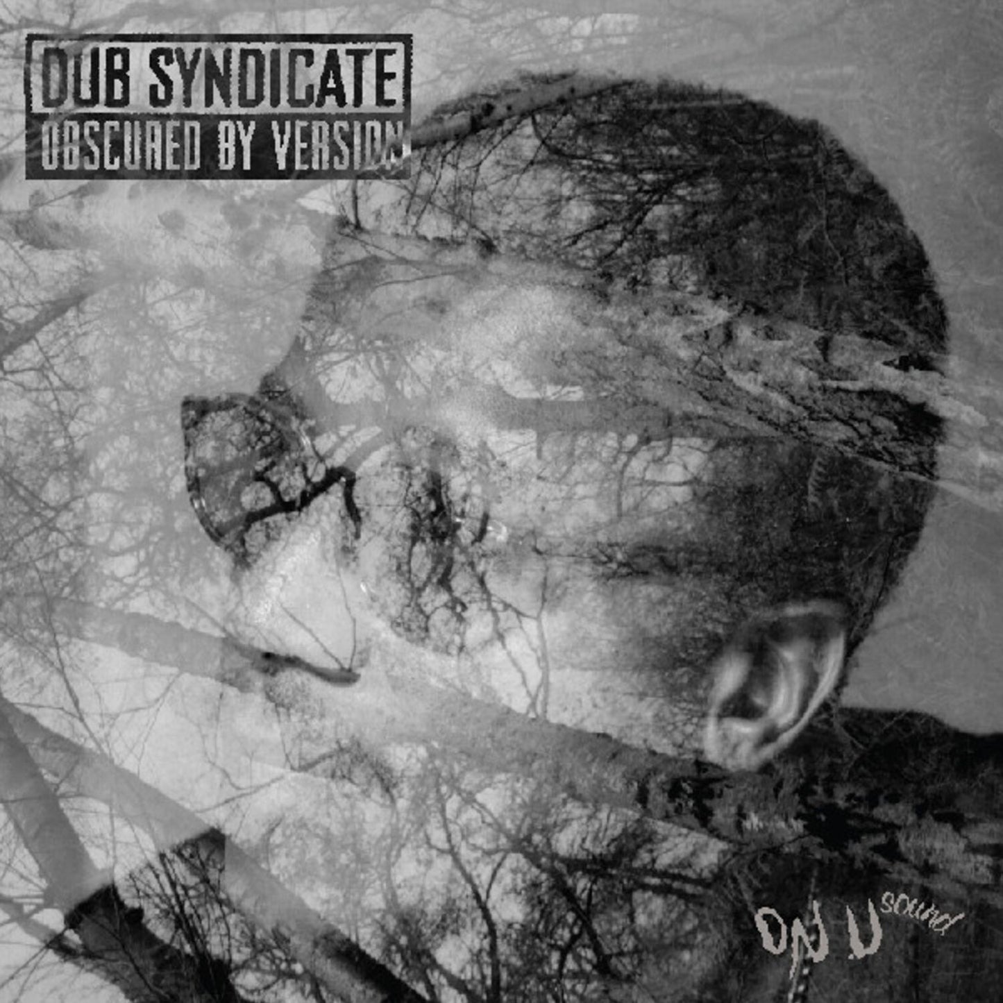 Obscured By Version (Dub Syndicate)