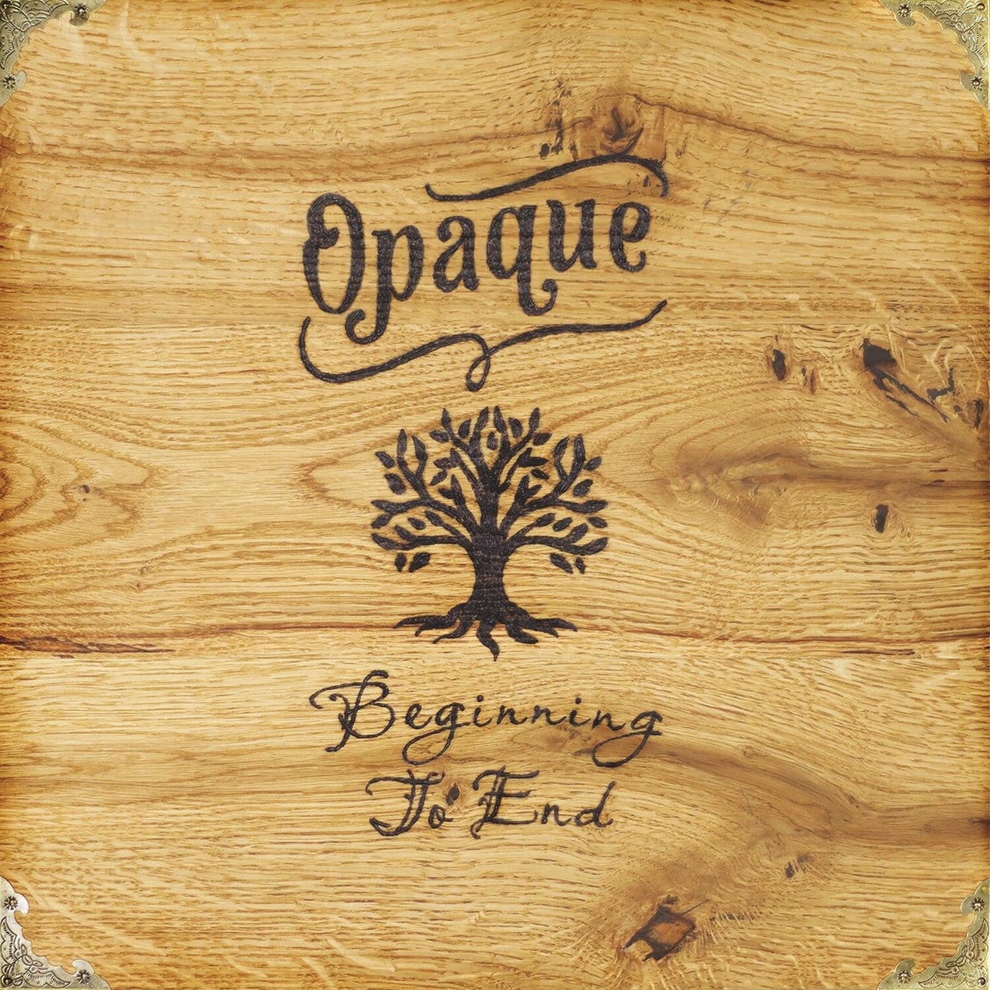 Beginning To End (Opaque)