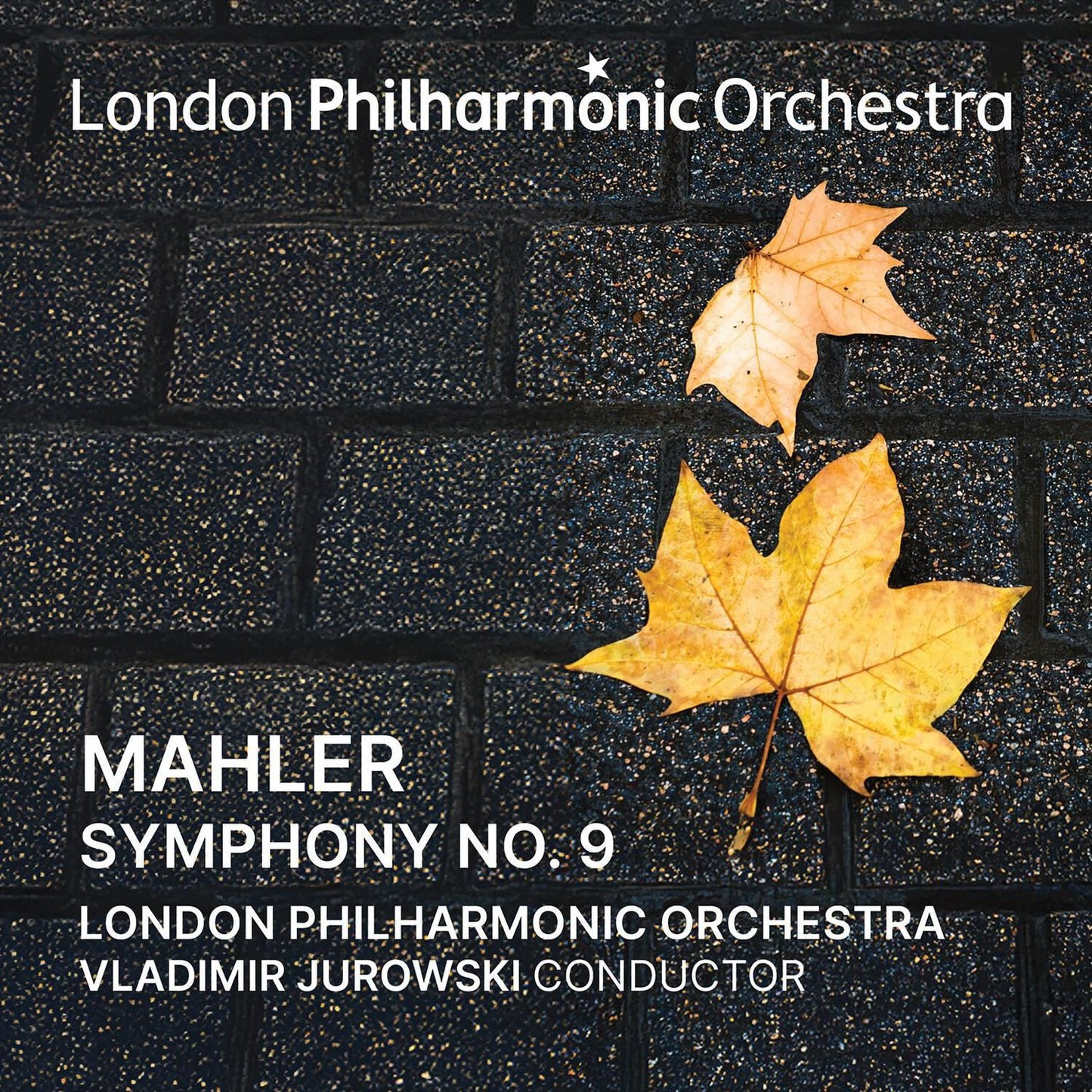 Vladimir Jurowski Conducts Mahler Symphony No. 9 (London Philharmonic Orchestra / Vladimir Jurowski)