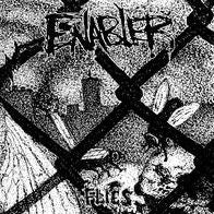 Flies (Enabler)