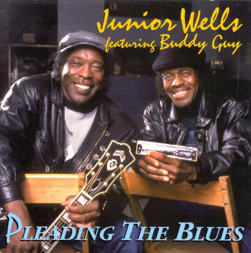 Pleading The Blues (Ogv)