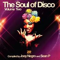 The Soul Of Disco, Vol. 2