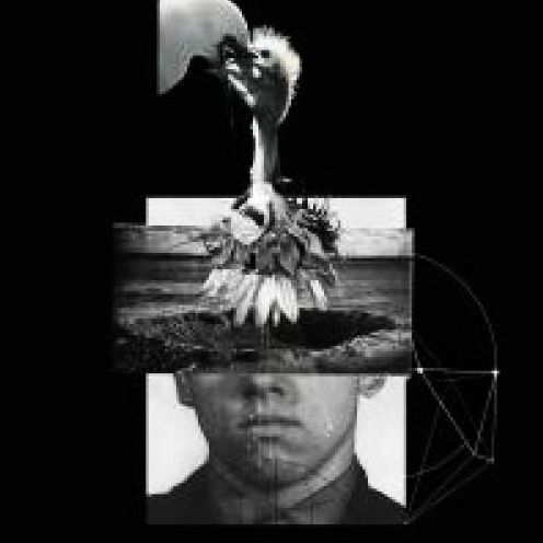 Mind Over Matter