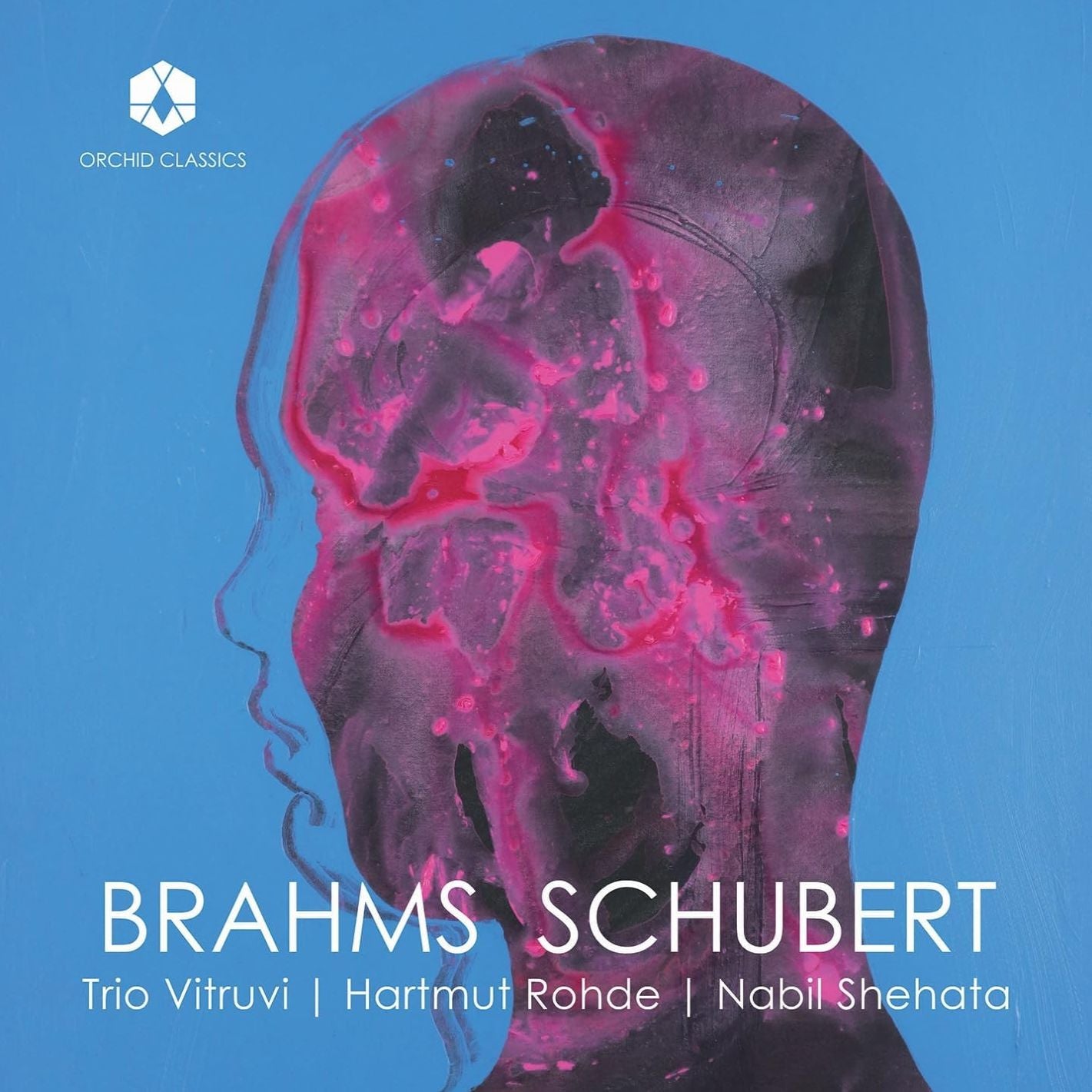 Brahms & Schubert (Brahms / Schubert / Vitruvi)