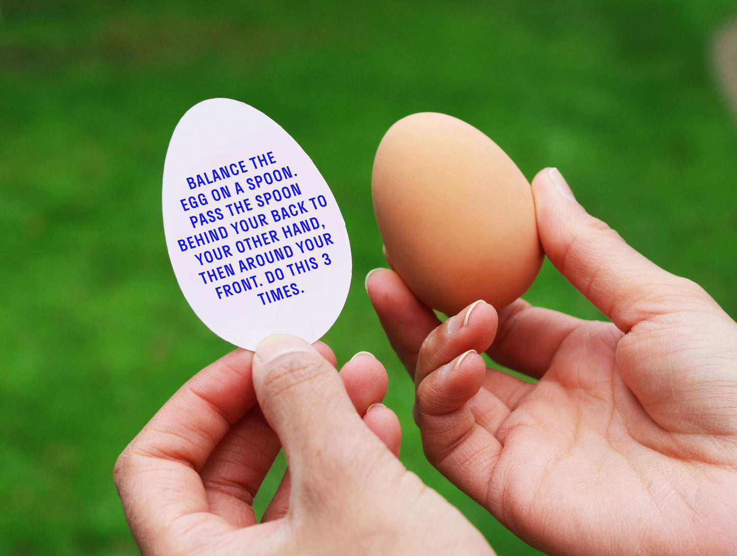 THE EGG GAME