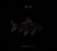 Koi