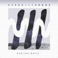 Healing Music (Zebra & Snake)