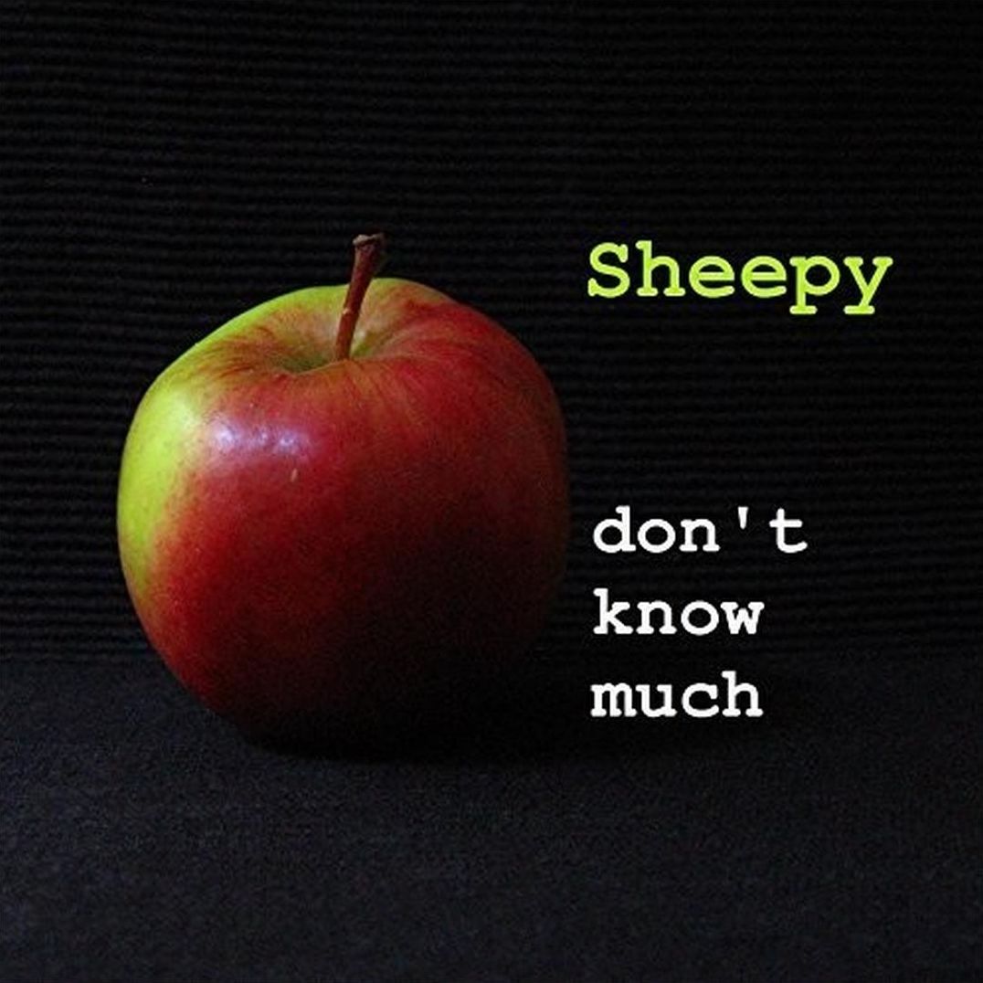 Sheepy/lucy