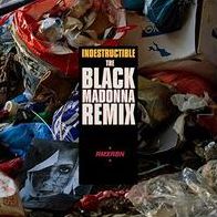 Indestructible [The Black Madonna Remix]/main Thing [Mr. Tophat Remix]