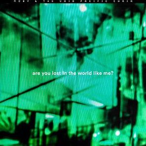 Are You Lost In The World Like Me?