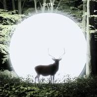 Installation (Lite)