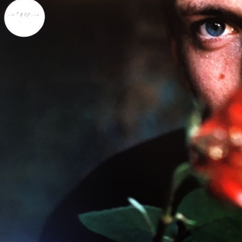 Don't Delete The Kisses (Ita)