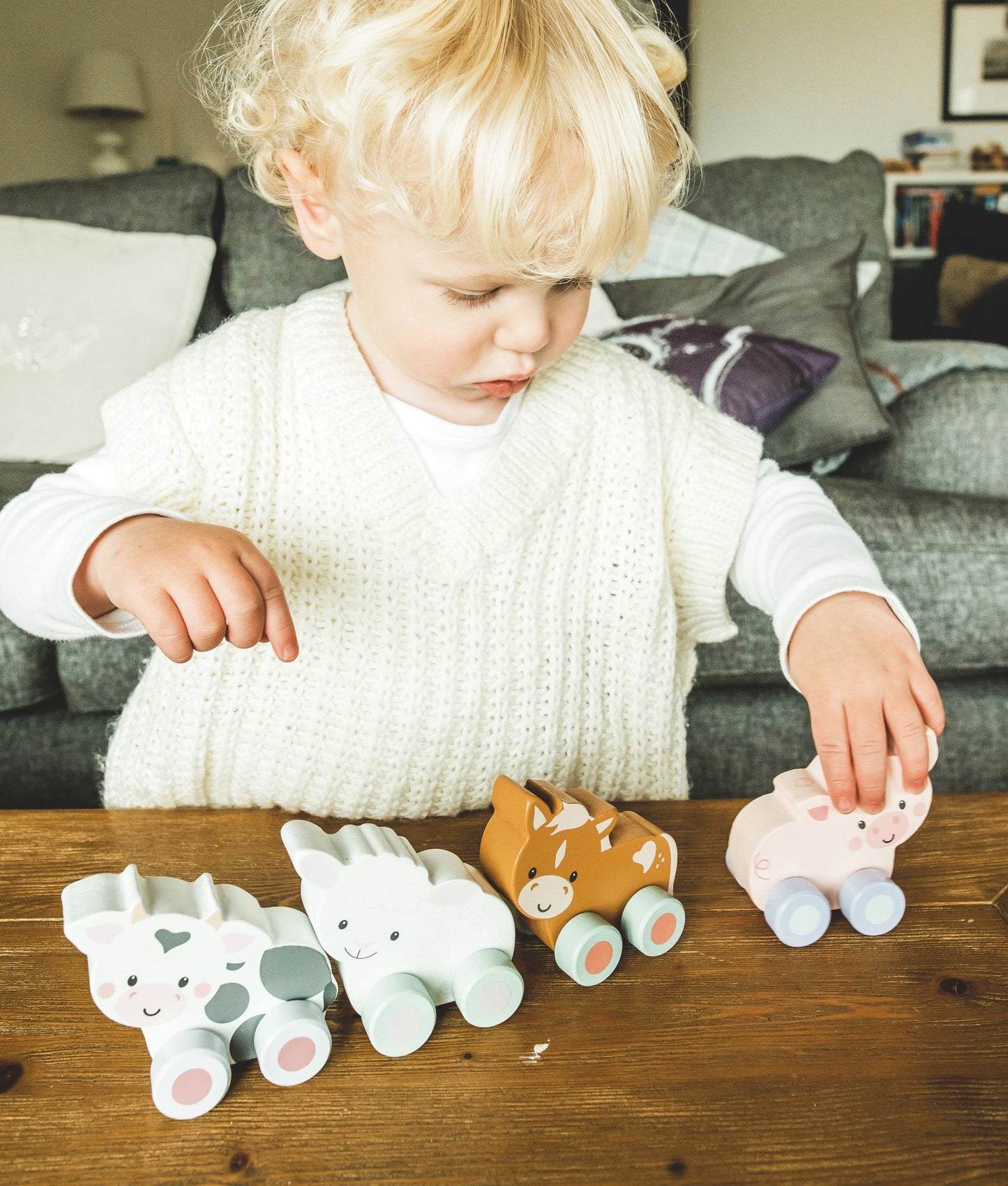 First Push Toy - Pig