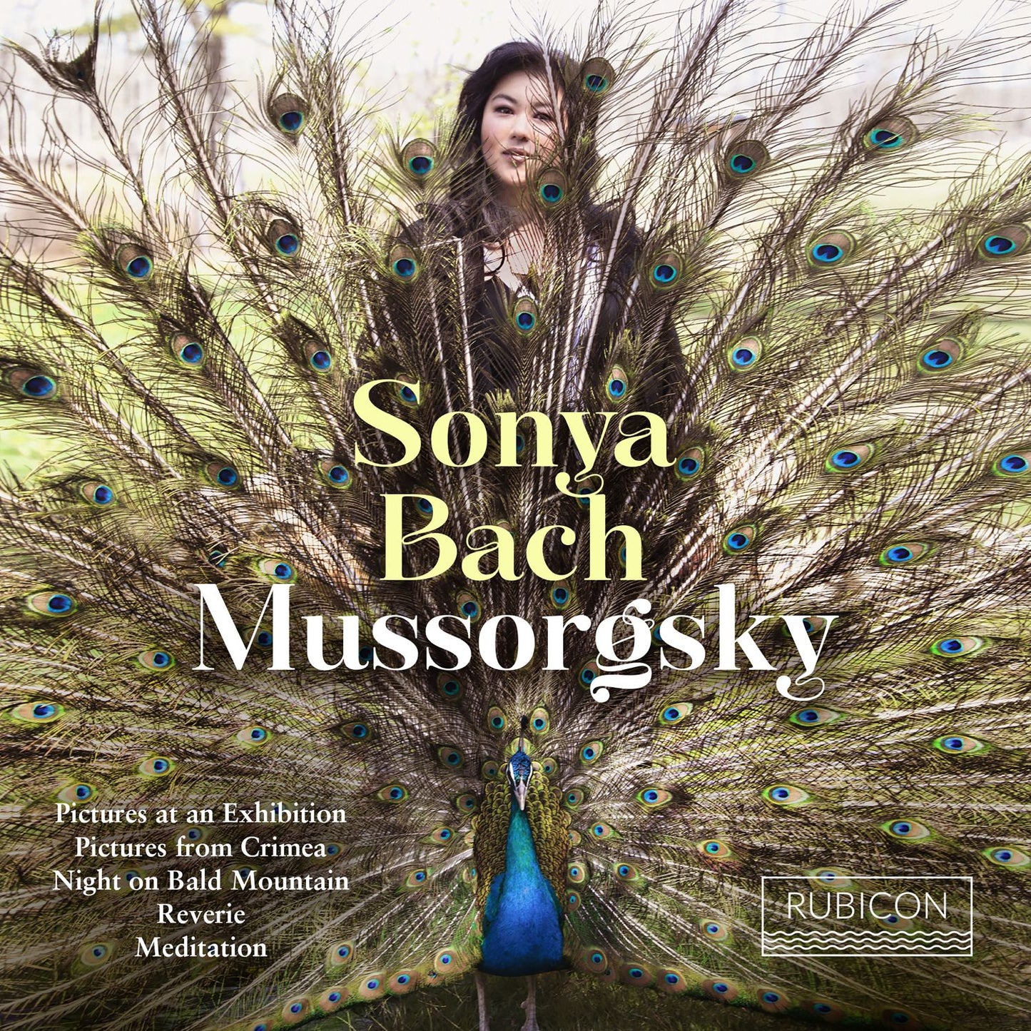 Mussorgsky: Pictures at an Exhibition; Pictures from Crimea; Night on Bald Mountain; etc.
