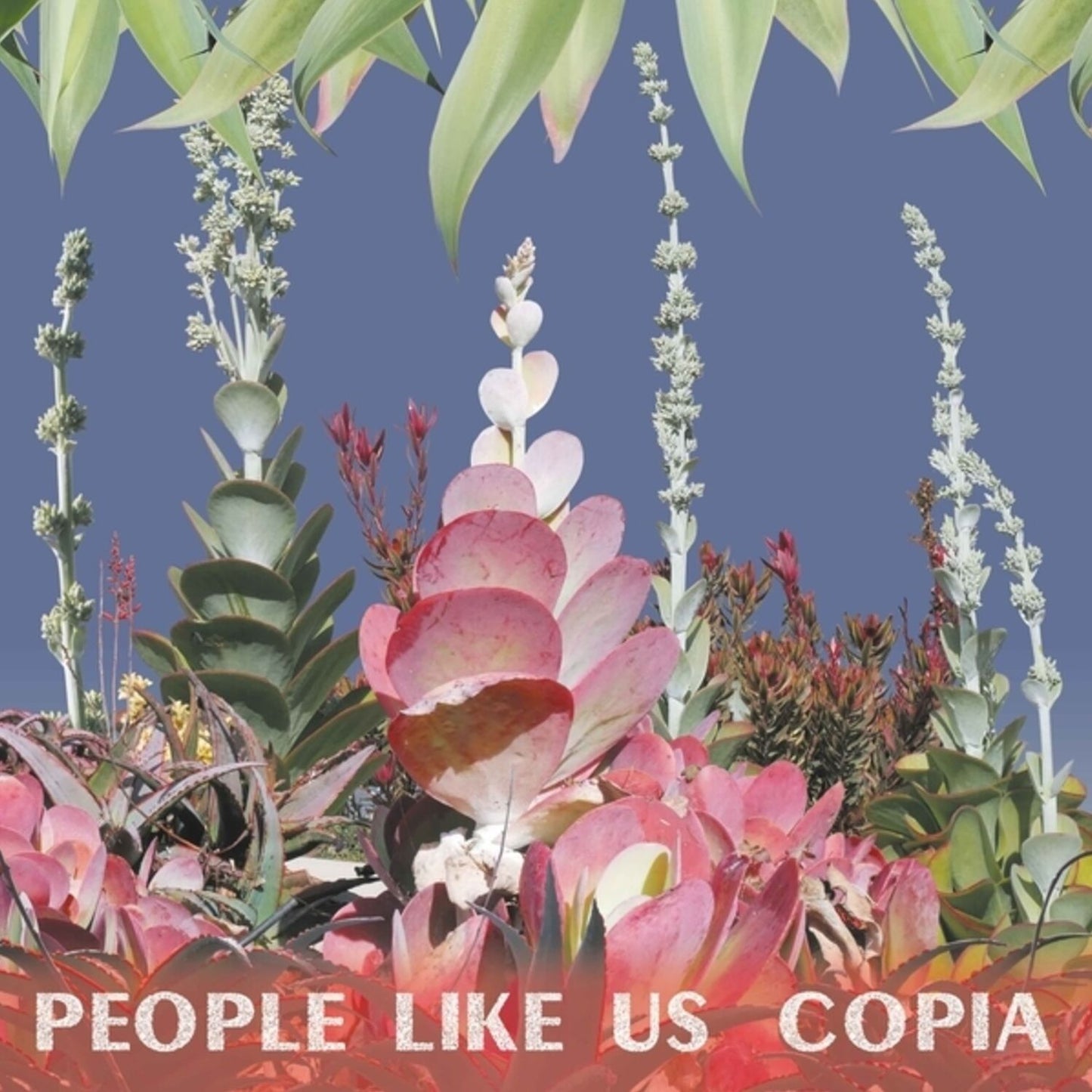 Copia (People Like Us)