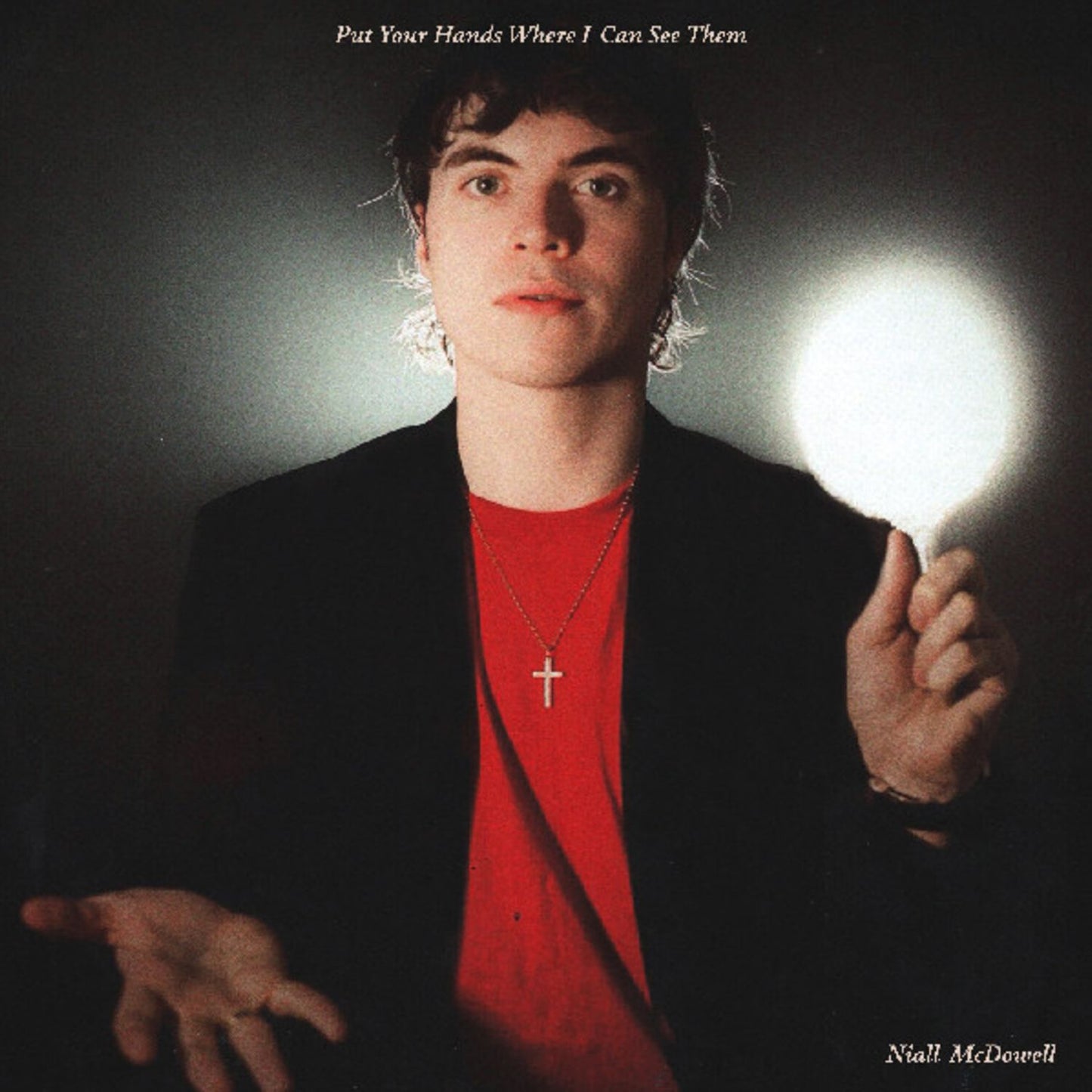 Put Your Hands Where I Can See Them (Niall Mcdowell)