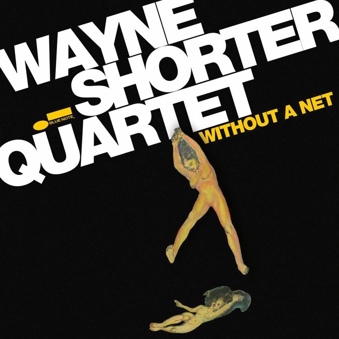 Without A Net