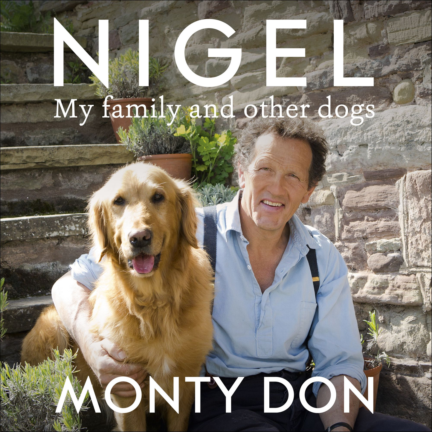 Nigel: my family and other dogs