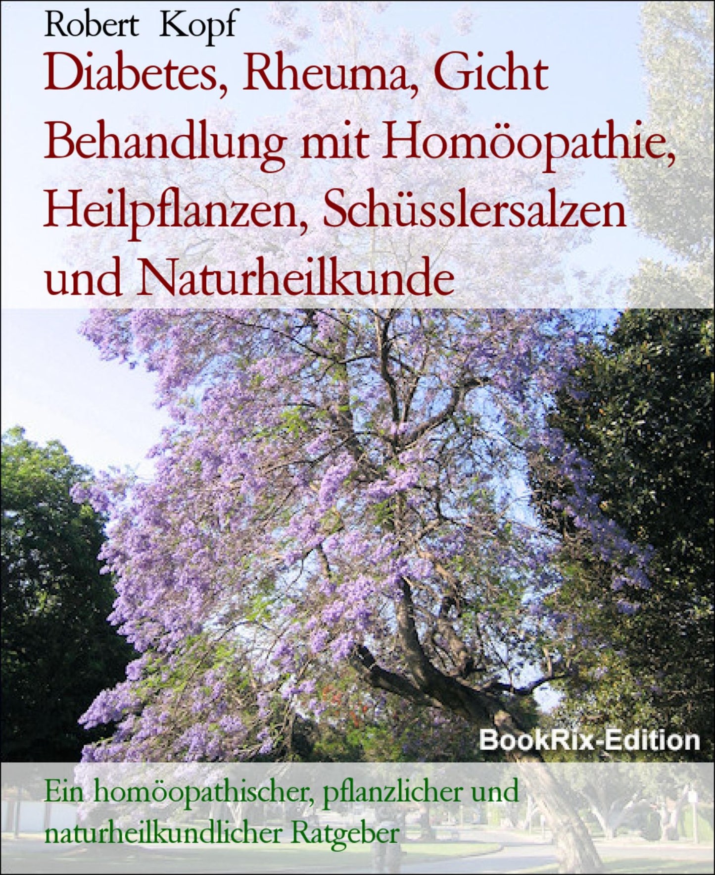 Diabetes, Rheuma, Gicht Behandlung mit Naturheilkunde, Homöopathie, Schüsslersalzen, Pflanzenheilkunde und Akupressur: Ein naturheilkundlicher, homöopathischer, biochemischer und pflanzlicher Ratgeber