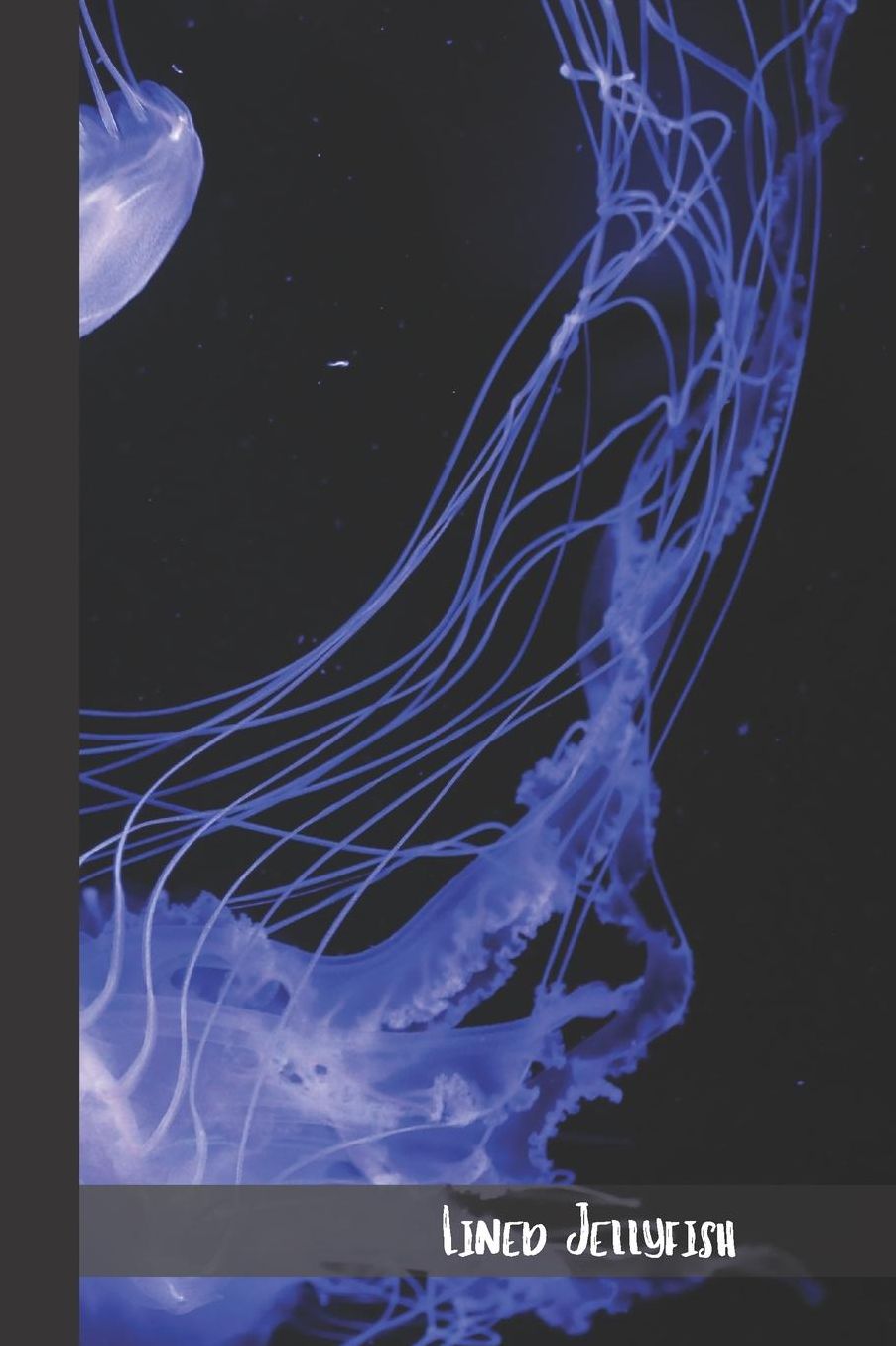 Lined Jellyfish: small lined Jellyfish Notebook / Travel Journal to write in (6'' x 9'') 120 pages