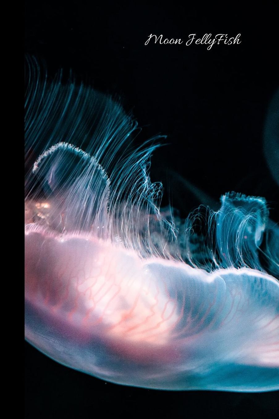 Moon Jellyfish: small lined Jellyfish Notebook / Travel Journal to write in (6'' x 9'') 120 pages