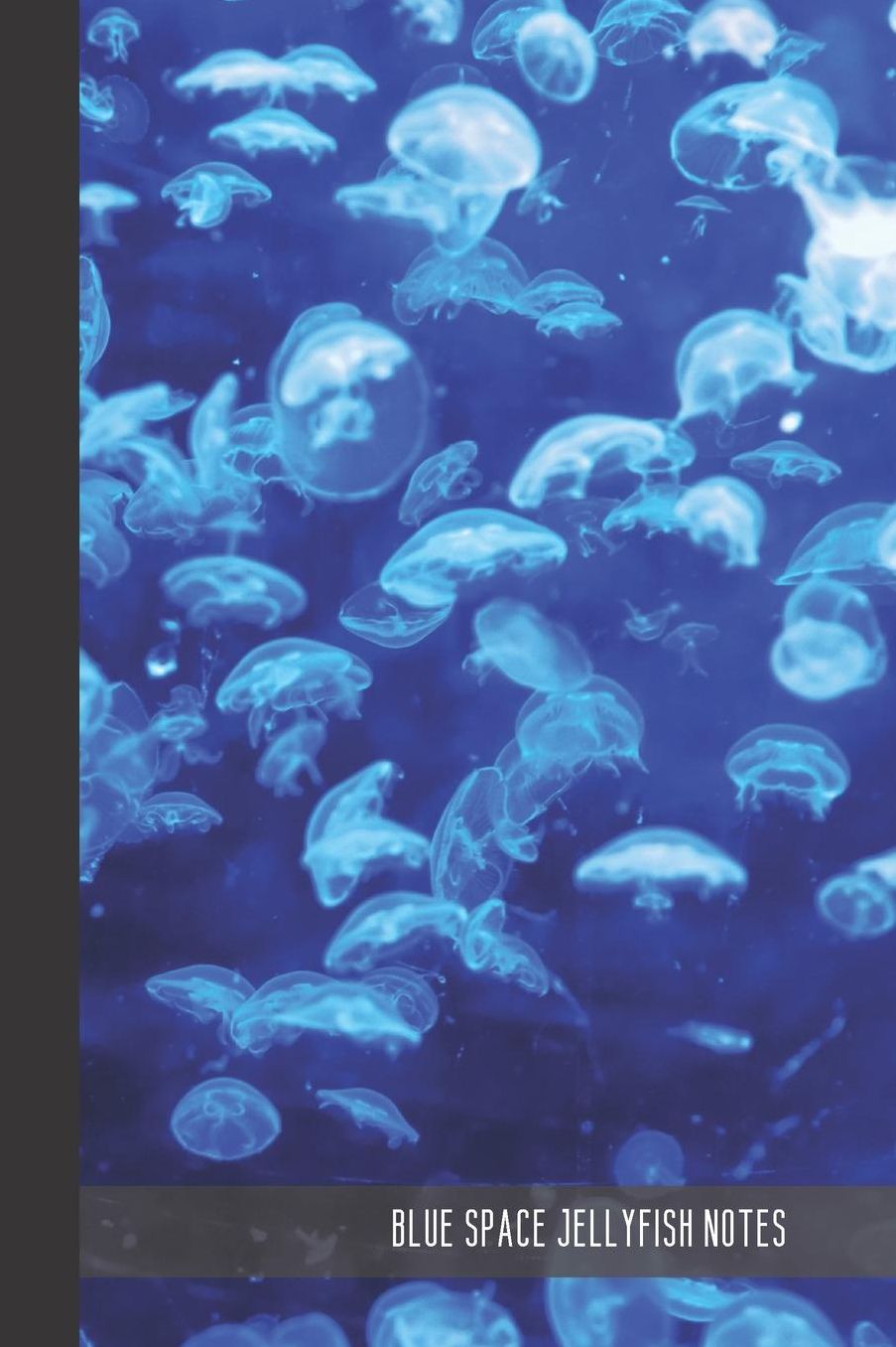 Blue Space Jellyfish Notes: small lined Jellyfish Notebook / Travel Journal to write in (6'' x 9'') 120 pages