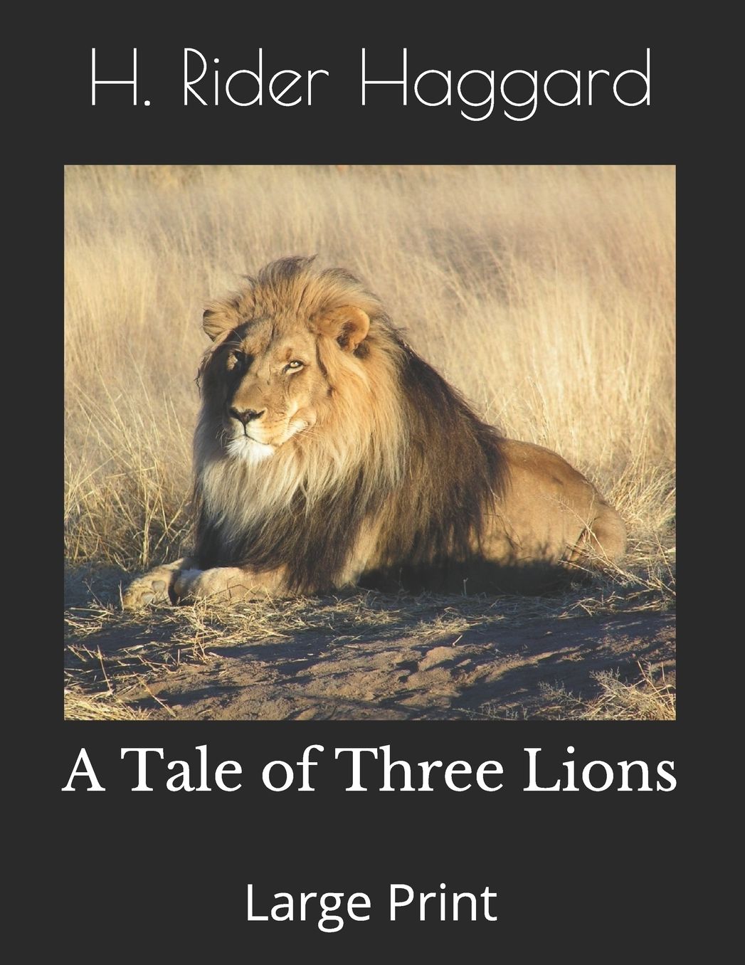 A Tale of Three Lions: Large Print