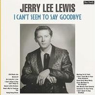 I Can't Seem To Say Goodbye