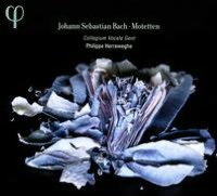 Bach: Motets BWV 225-230