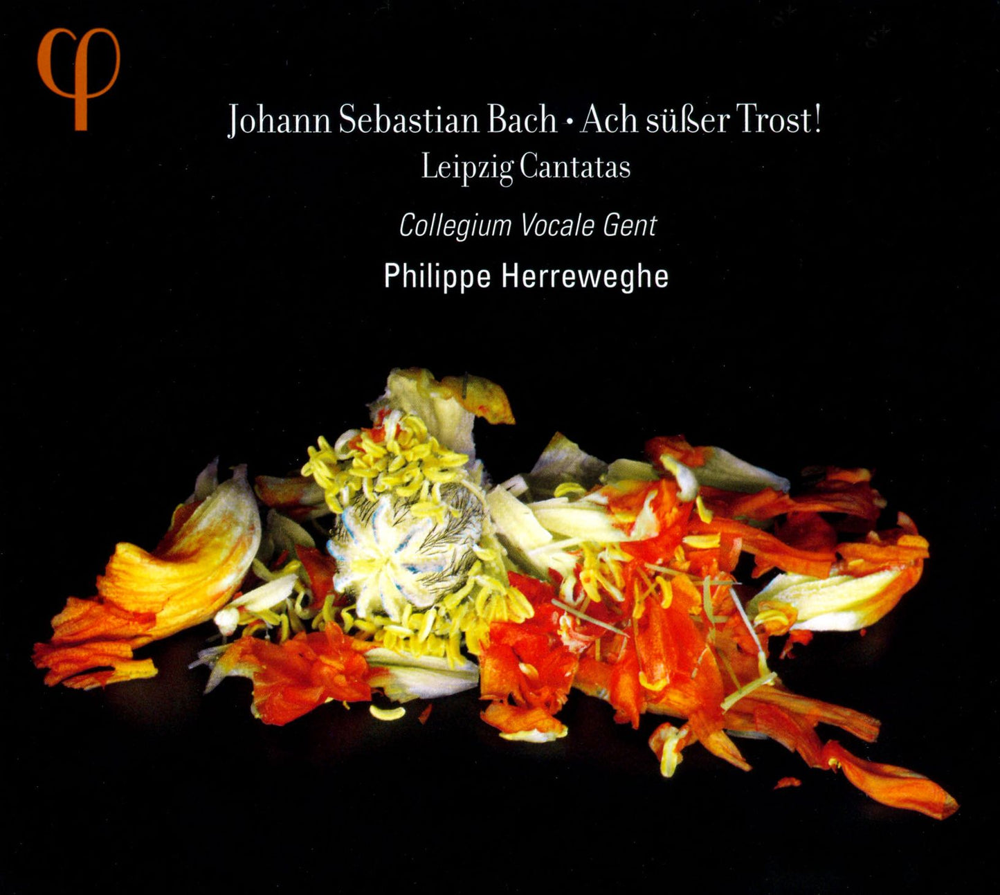 Bach: Ach s?sser Trost! Leipzig Cantatas