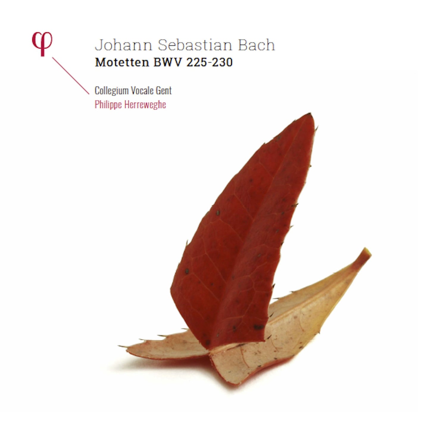 Johann Sebastian Bach: Motetten Bwv 225-230