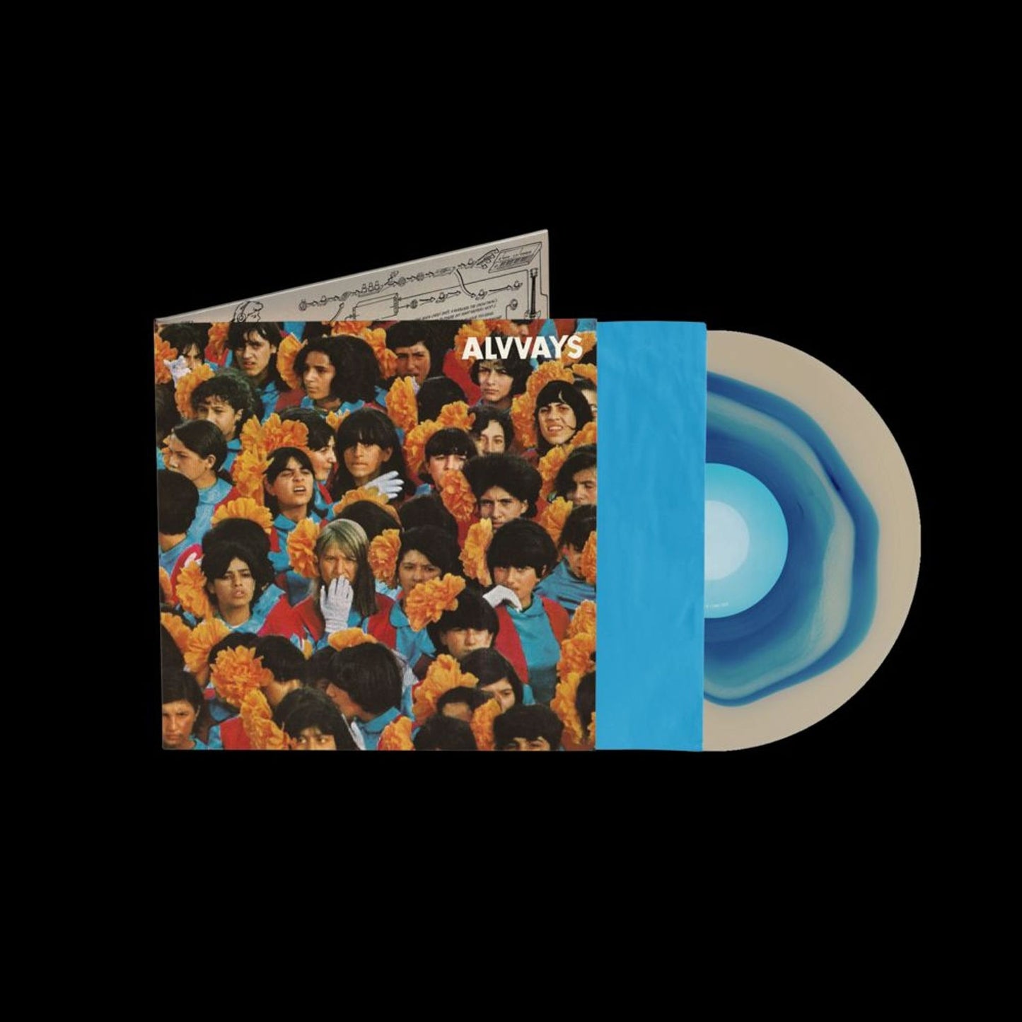 Alvvays: 10Th Anniversary (Alvvays)