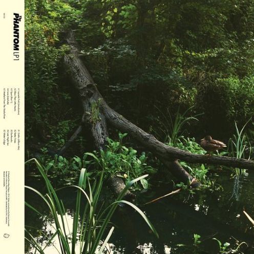 Lp 1