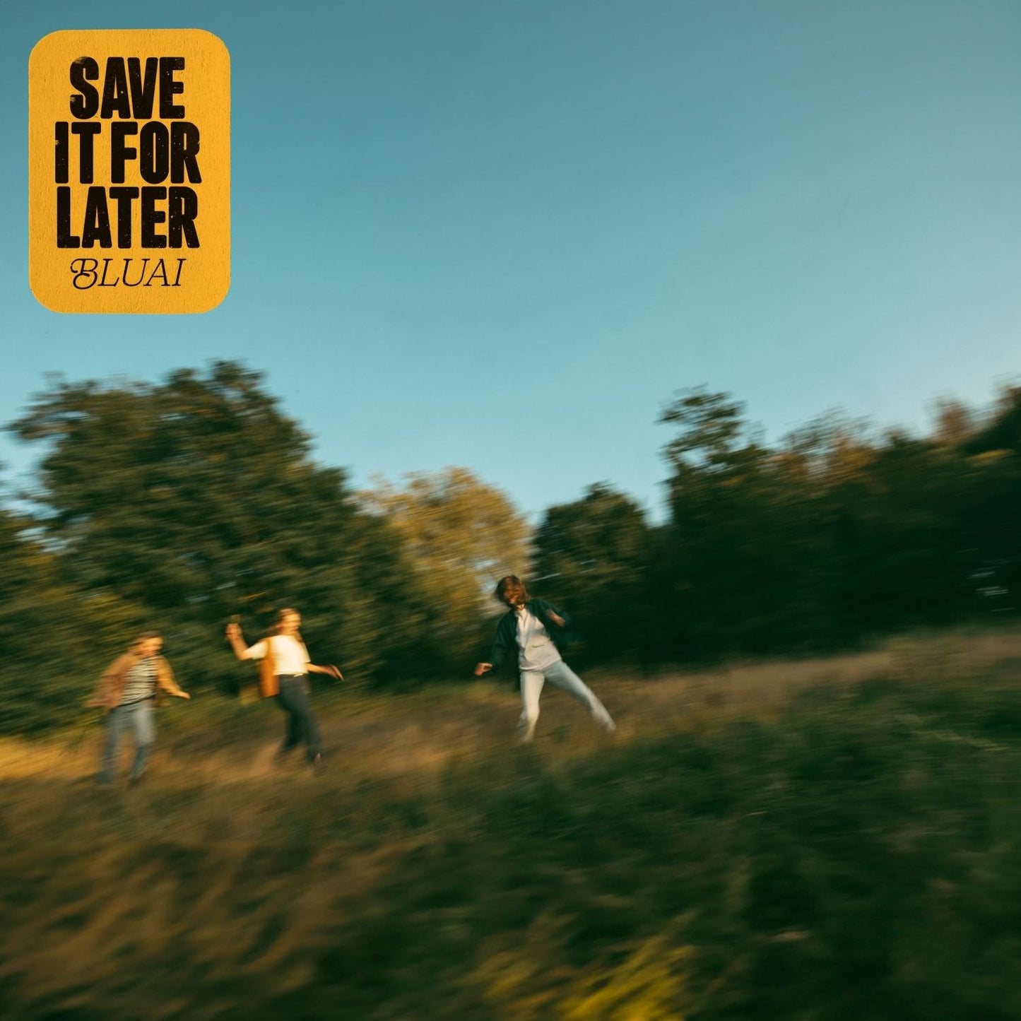Save It For Later (Bluai)