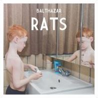 Rats