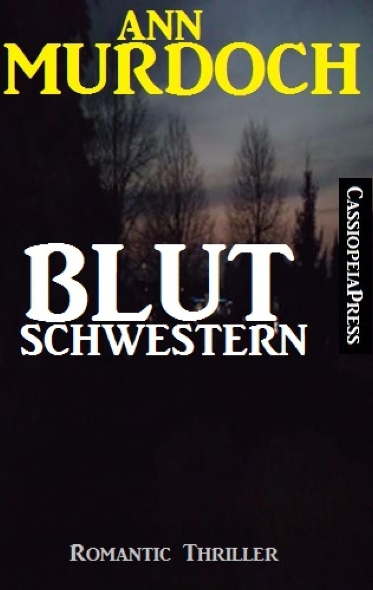 Ann Murdoch Romantic Thriller: Blutschwestern