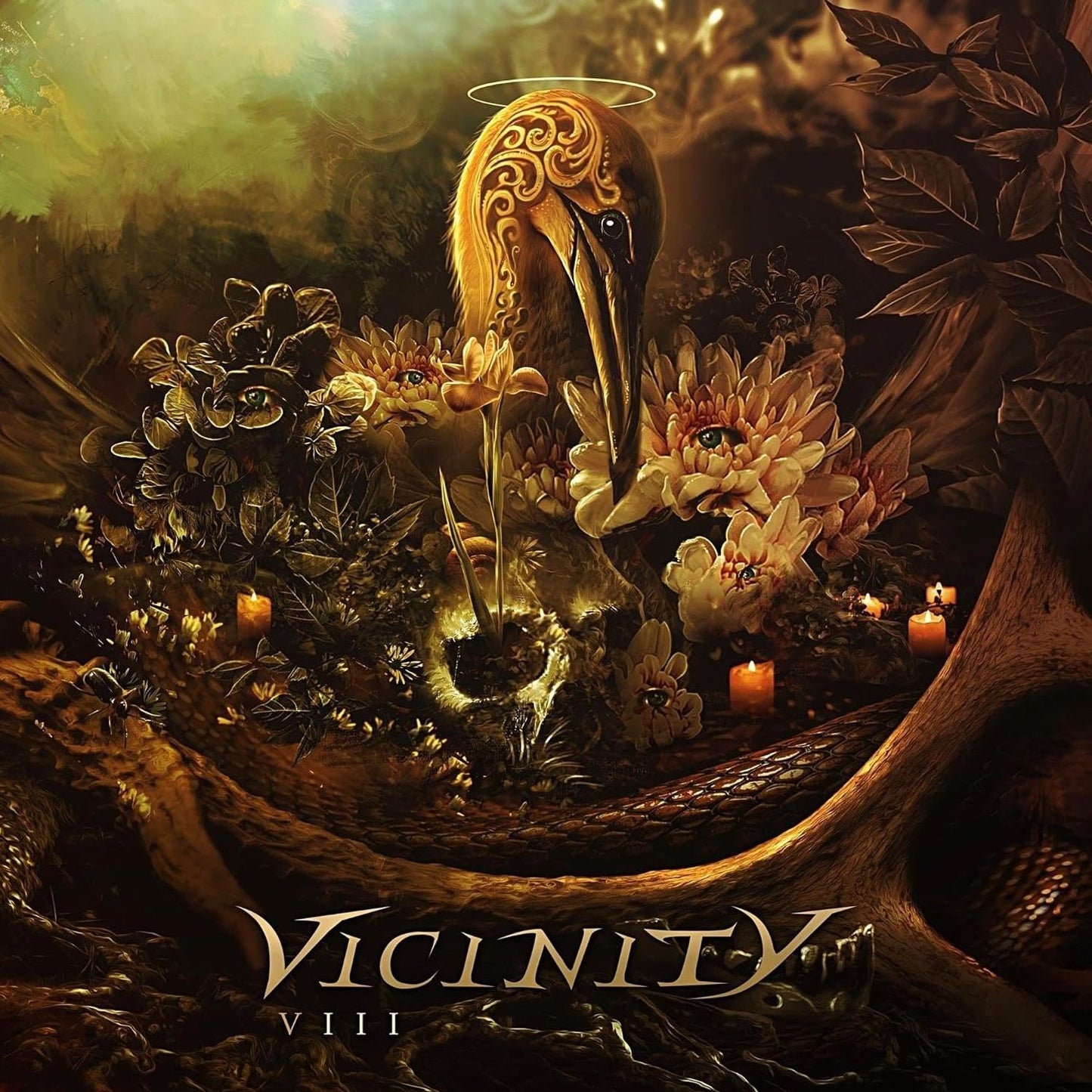 Viii (Vicinity)