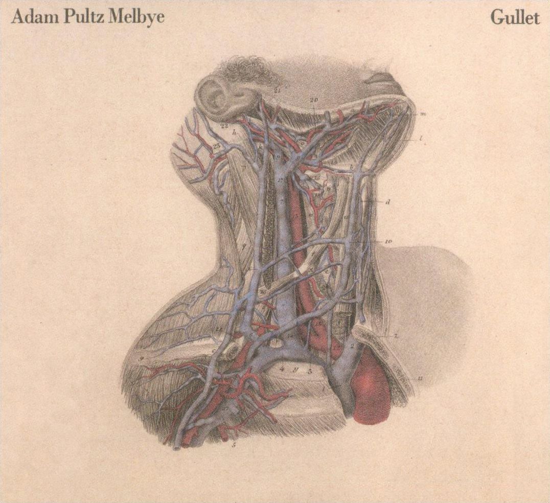 Gullet