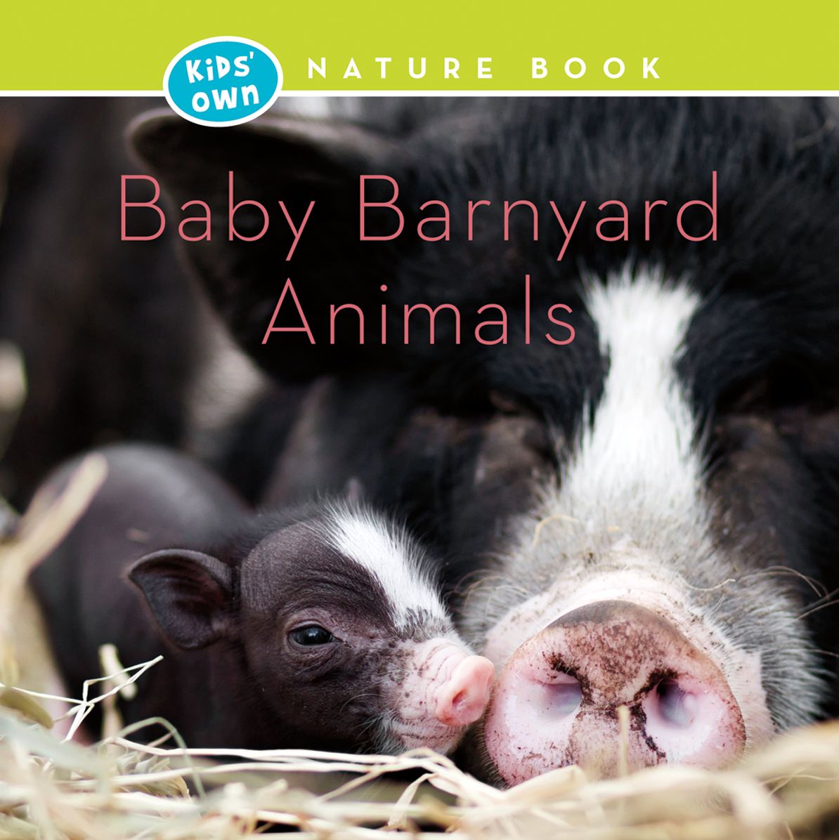 Baby Barnyard Animals