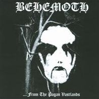 ...From The Pagan Vastlands