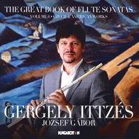 Great Book of Flute Sonatas, Vol. 6: Czech & American Works
