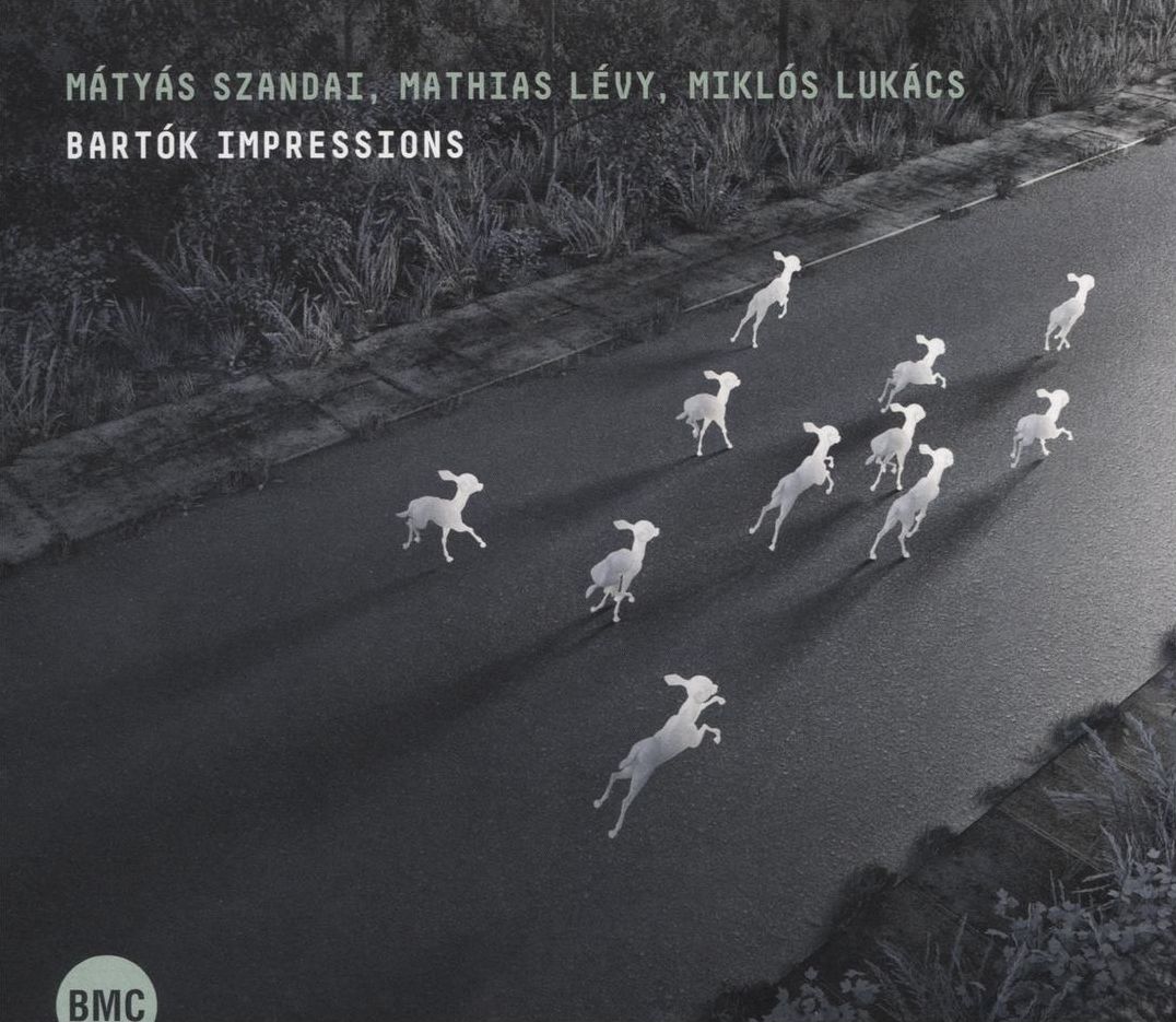 Bartok Impressions