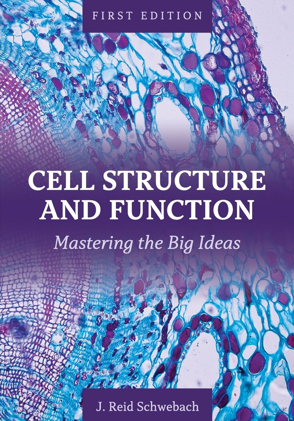 Cell Structure and Function: Mastering the Big Ideas