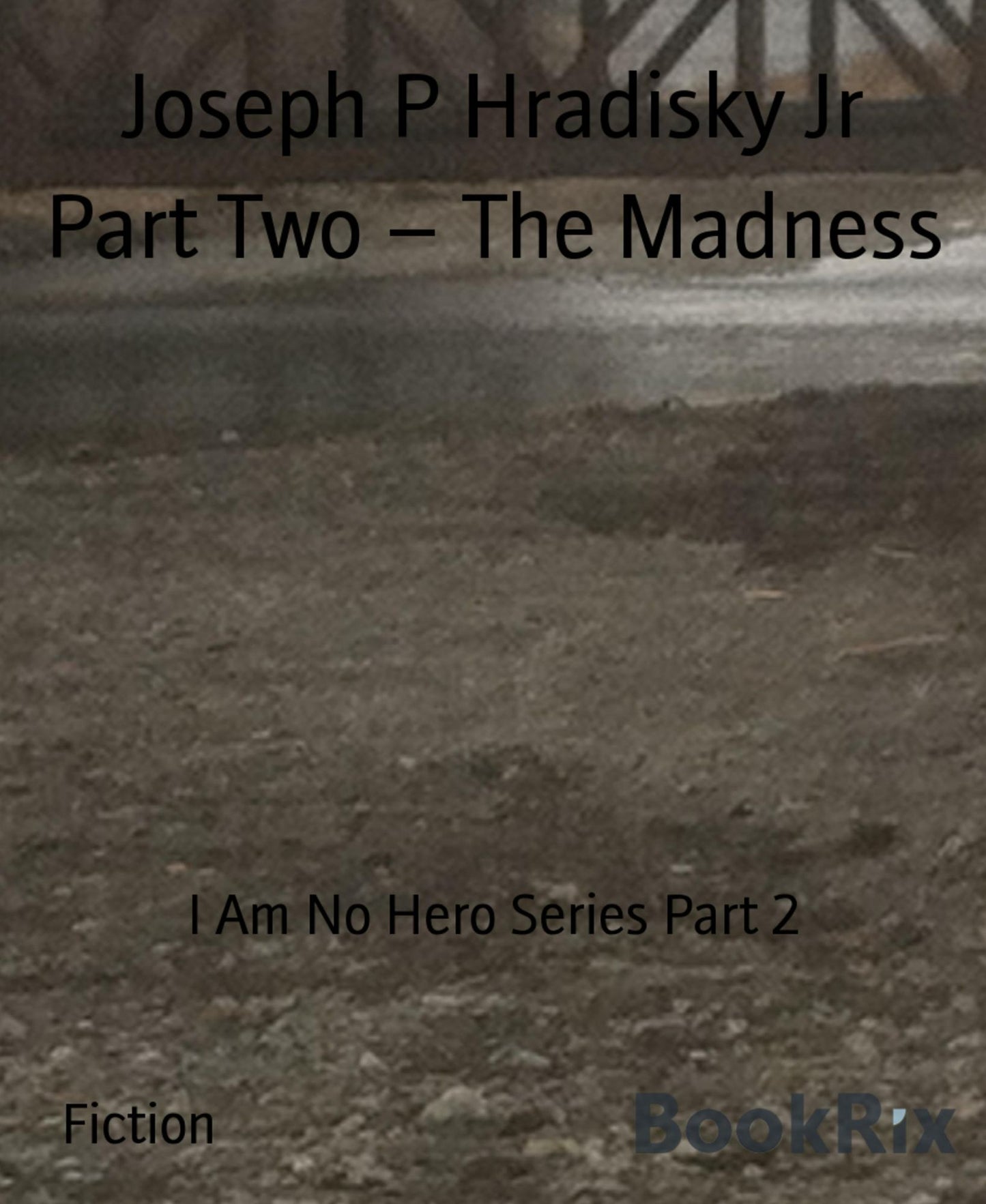 Part Two - The Madness: I Am No Hero Series Part 2