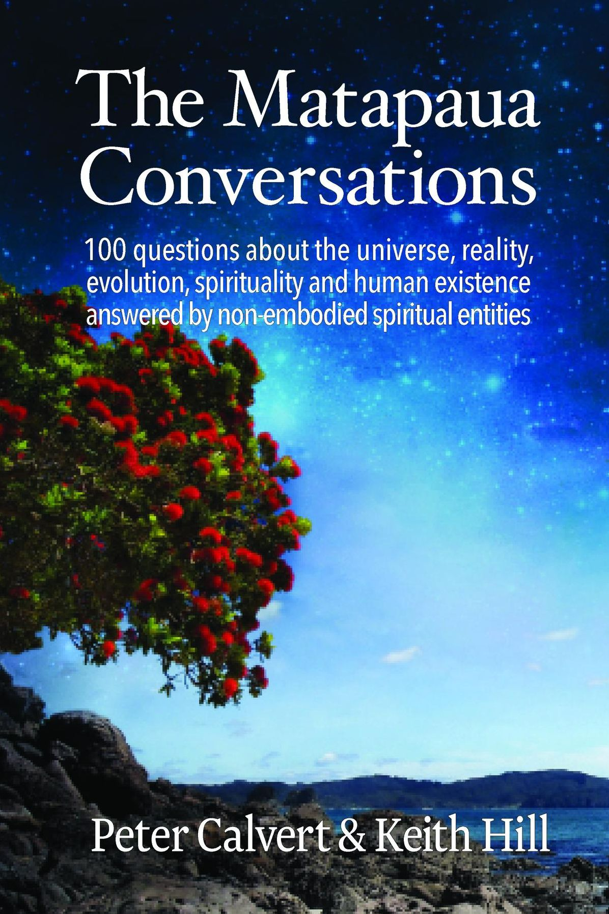 The Matapaua Conversations: 100 questions about the universe, reality, evolution, spirituality and human existence answered by non-embodied spiritual entities
