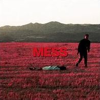 Mess